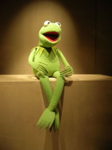 kermit the frog social enterprise talk