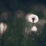 My Introvert Life: As a Single