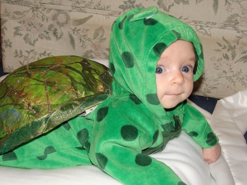 Top 10 Baby Halloween Costumes | Tim and Olive's Blog