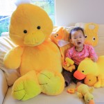 Ducks have Invaded our House