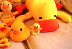 Ducks-have-invaded-our-house